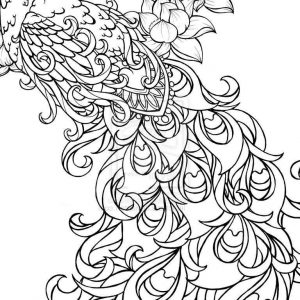 300x300 Printable Coloring Pages For Adults Peacock Copy Beautiful Bird