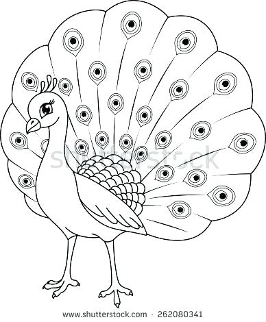 388x470 Coloring Peacock Peacock Images For Coloring Peacock Coloring Page