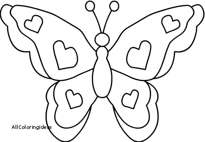 700x487 Google Images Butterfly Coloring Pages Vanda