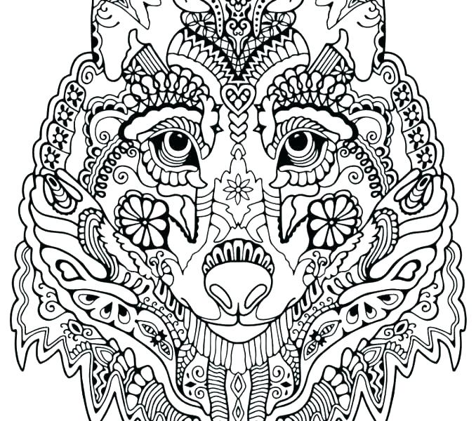 678x600 Wolf Coloring Pages For Adults