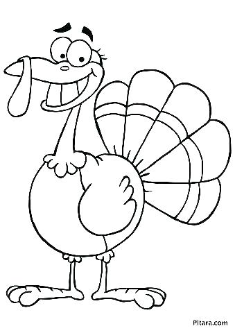 339x480 Turkey Coloring Picture Turkey Feather Coloring Pages Printable