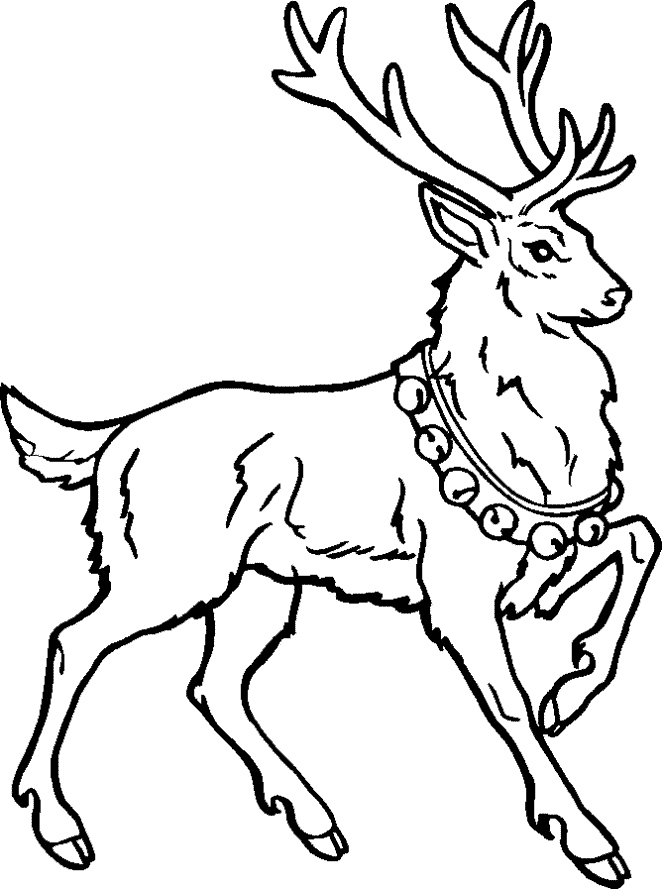 662x889 Reindeer Coloring Pages Inspirational Reindeer Caribou Coloring