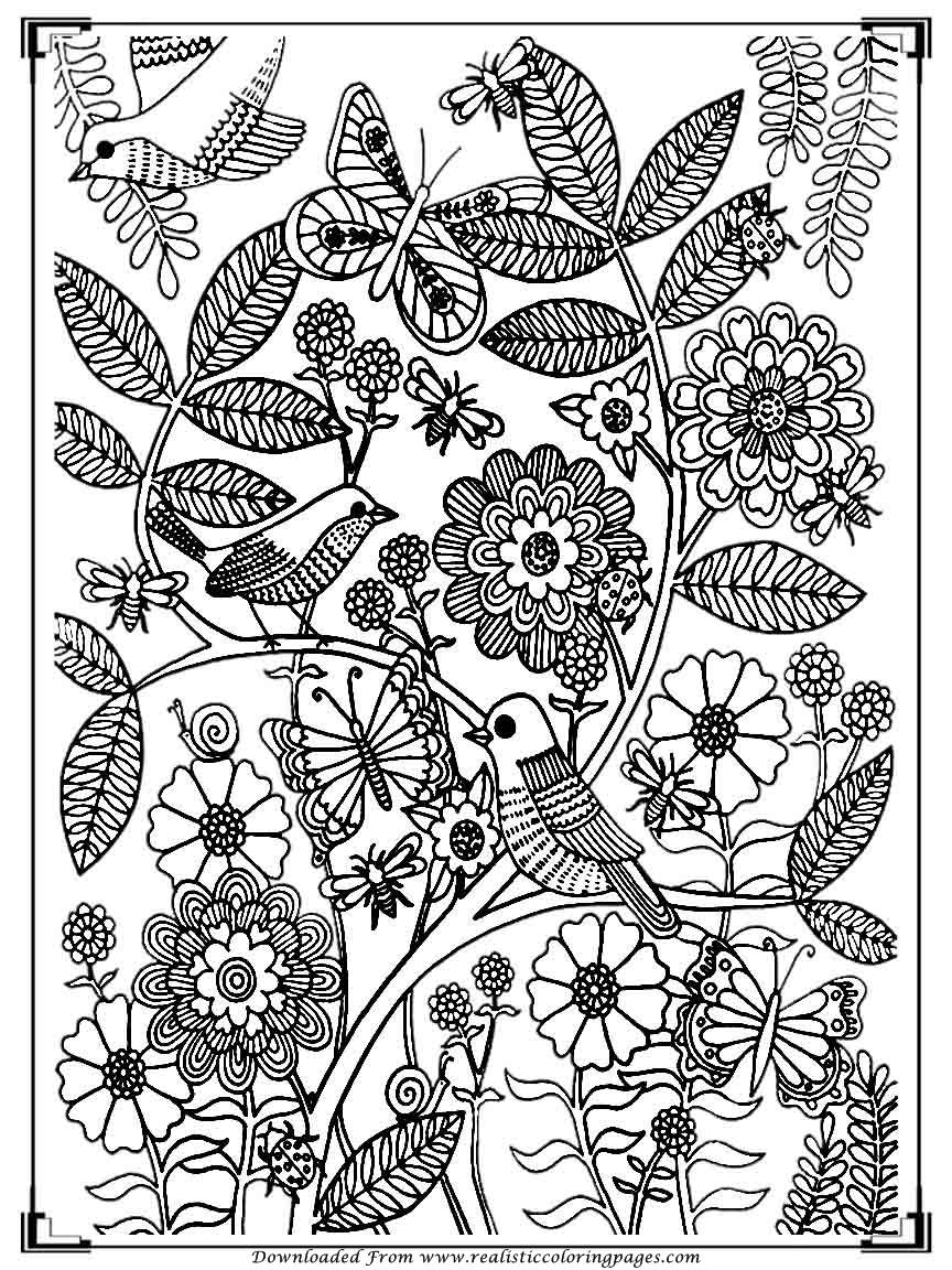 864x1152 Printable Birds Coloring Pages For Adults Realistic Coloring Pages