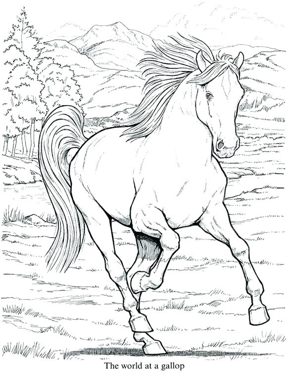 584x750 Free Detailed Coloring Pages