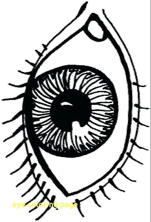 491x718 Eyeball Coloring Pages Eye Coloring Page With Eye Coloring Page
