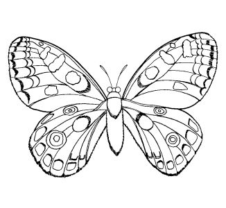326x300 Coloring Pages For Girls