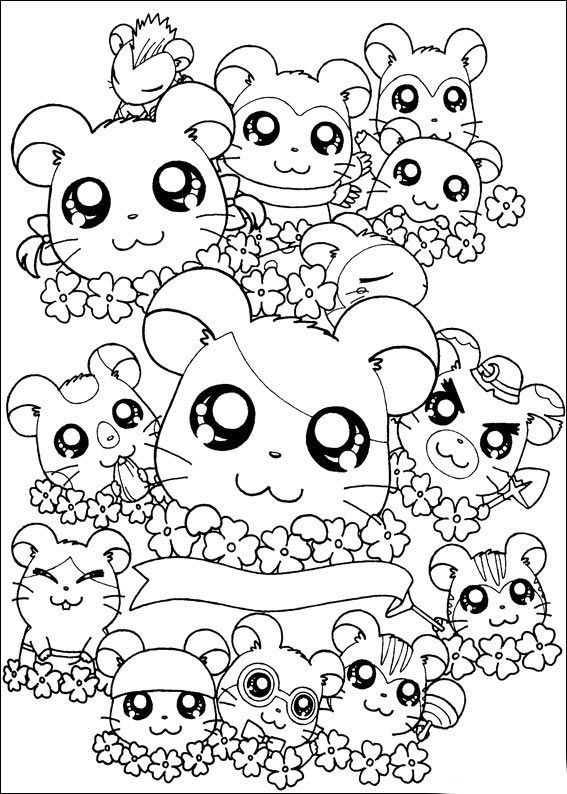 567x794 Cute Animal Coloring Pages For Girls Coloring For Kids