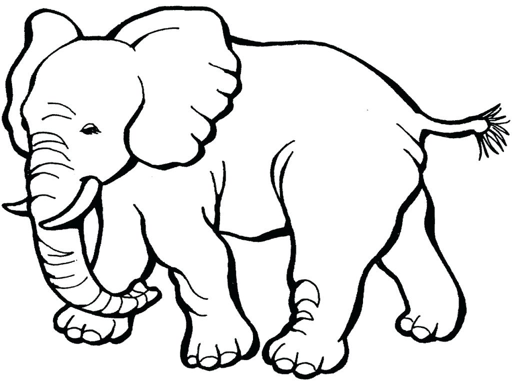 1024x761 Free Coloring Pages Of Animals Ideas Free Printable Coloring Pages
