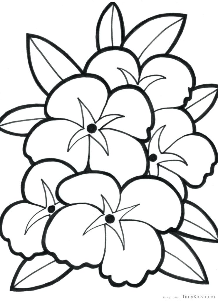 742x1024 Good Coloring Pages Girls Flowers Or Free Coloring Pages