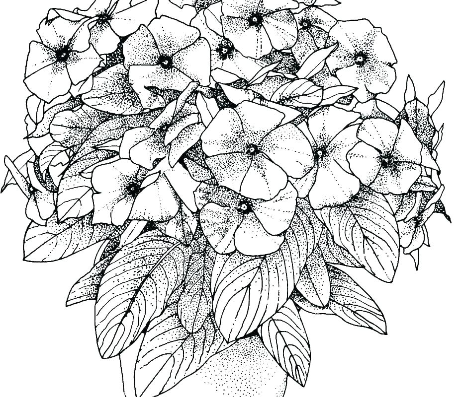 929x800 Coloring Pages That Are Hard Difficult Coloring Pages Photographs