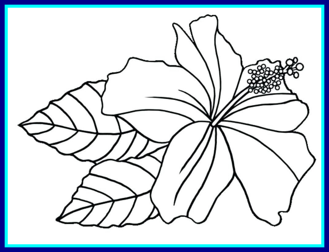 1074x825 Astonishing New Printable Flower Coloring Pages For Gallery Hard