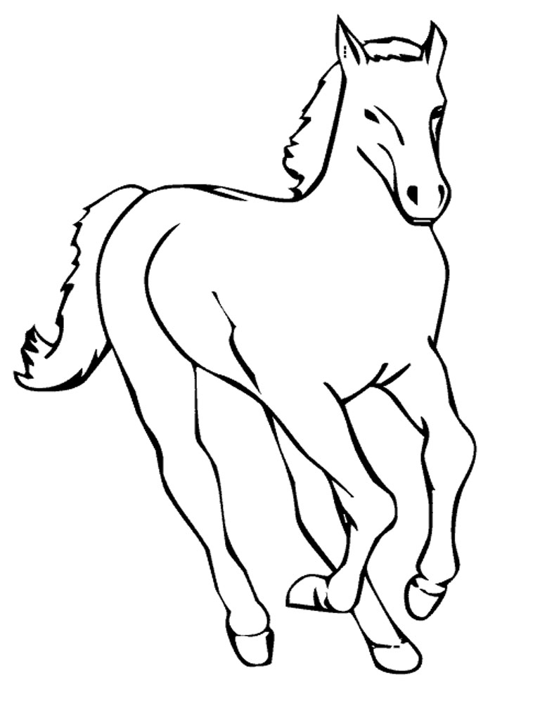 768x1024 Ba Horses Coloring Pages Free Printable Horse For Kids Arilitv