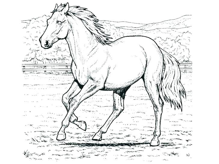 728x546 Coloring Pages Of Horses Running