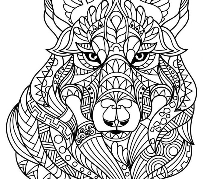 678x600 Coloring Pages Pdf Coloring Page Pdf Colouring Sheets