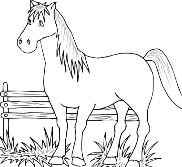 588x541 Animal Coloring Pages That Are Printable Coloring Pages To Print