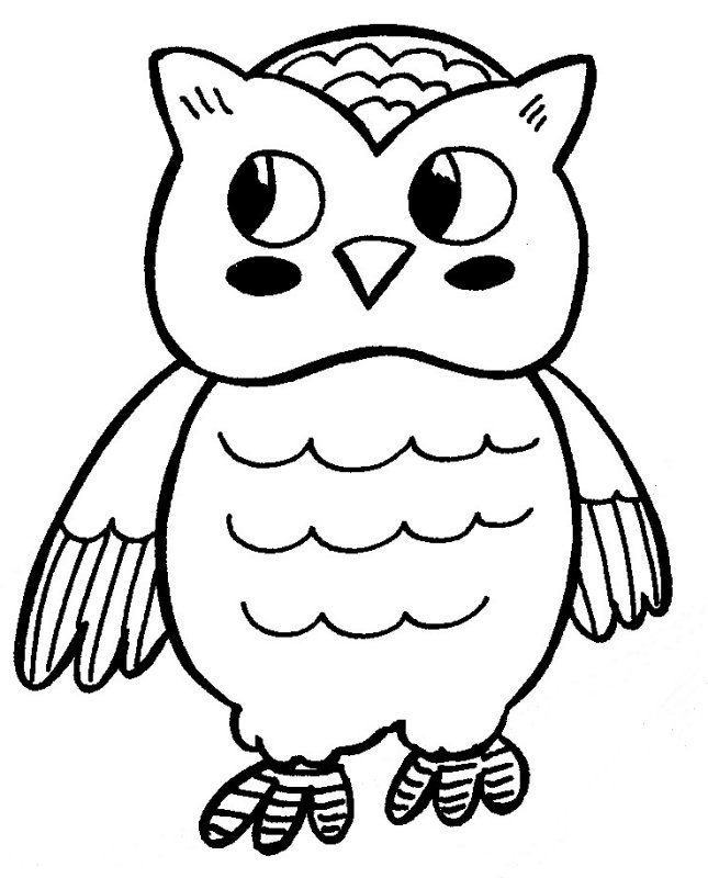 645x800 Owl Coloring Pages For Kids Printable Coloring Pages