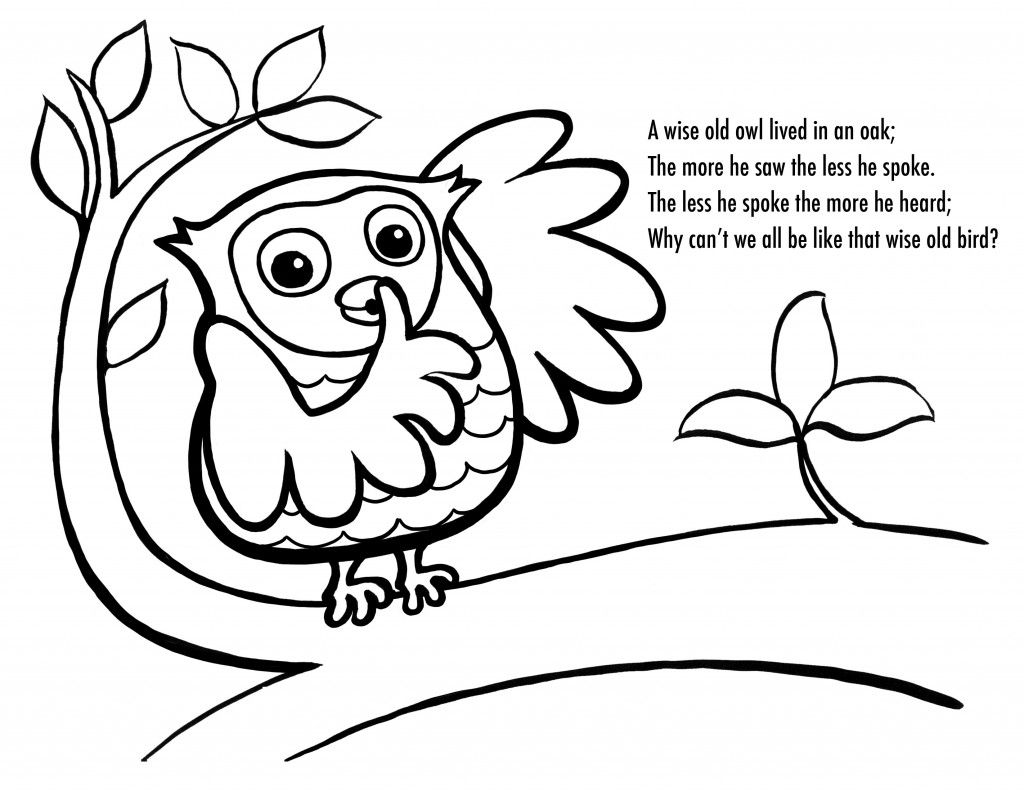 1024x791 Free Printable Owl Coloring Pages For Kids Owl And Free Printable