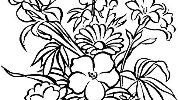 585x329 Coloring Pages For Seniors Coloring Page Sporturka Coloring