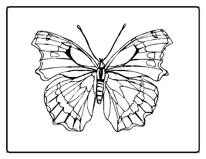 869x671 Perfect Coloring Pages For Older Adults Festooning