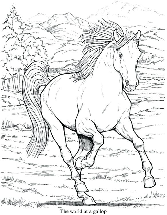 584x750 Printable Coloring Pages For Older Kids Teleks Site