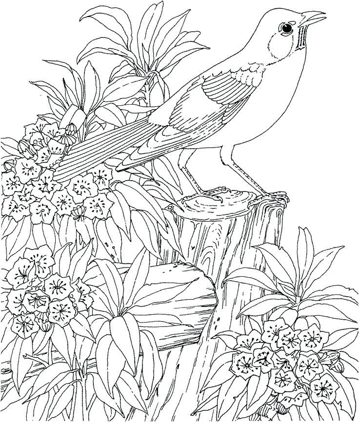 736x866 Coloring Pages For Older Girls Teenagers Difficult Best Ideas