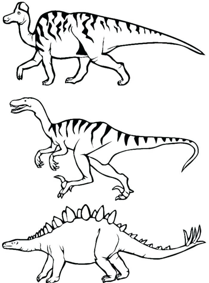 700x948 Geographic Coloring Pages Real Animal Latest Colori On Coloring