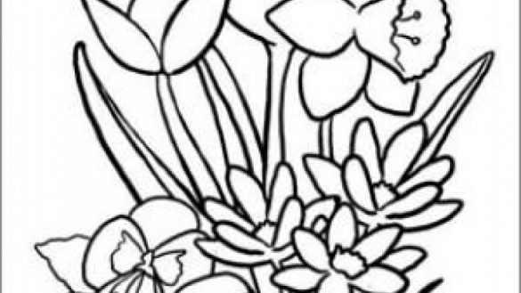 585x329 Coloring Pages For Seniors Coloring Page Sporturka Coloring