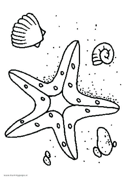 422x597 Starfish Coloring Pages Kids Coloring Pages Pages Cute Starfish
