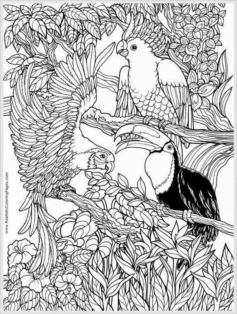 790x1046 Coloring Pages Young Adults Coloring Sheet
