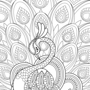 300x300 Amusing Adult Coloring Pages To Print Free