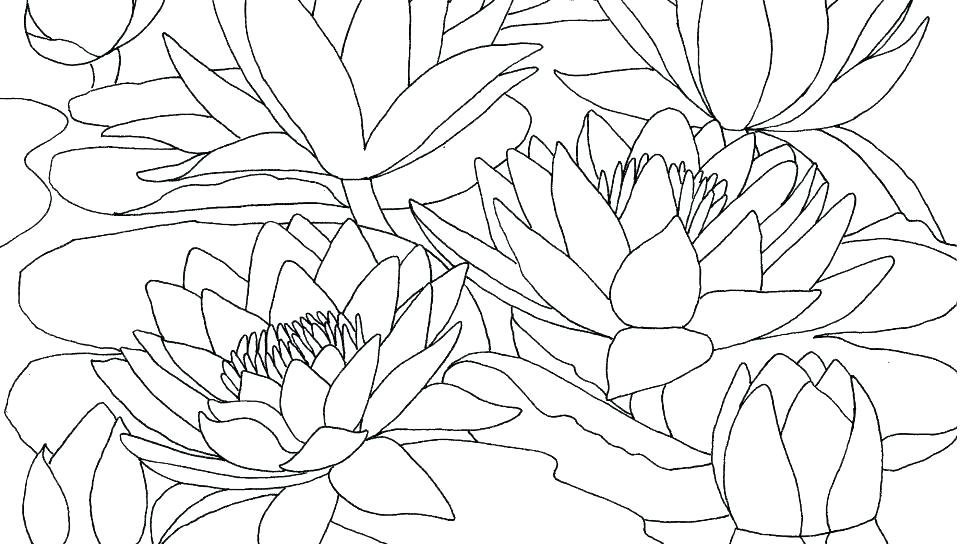 960x544 Free Printable Coloring Pages Of Flowers Flower Coloring Pages