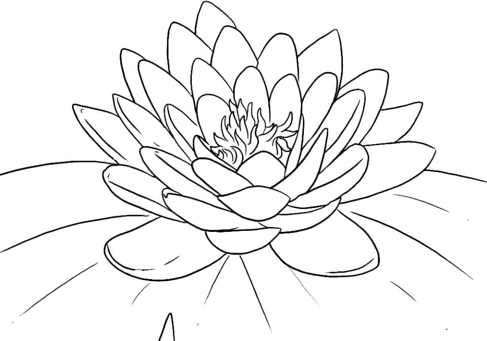 960x672 Free Printable Flowers Coloring Pages Flowers Coloring Pages Free