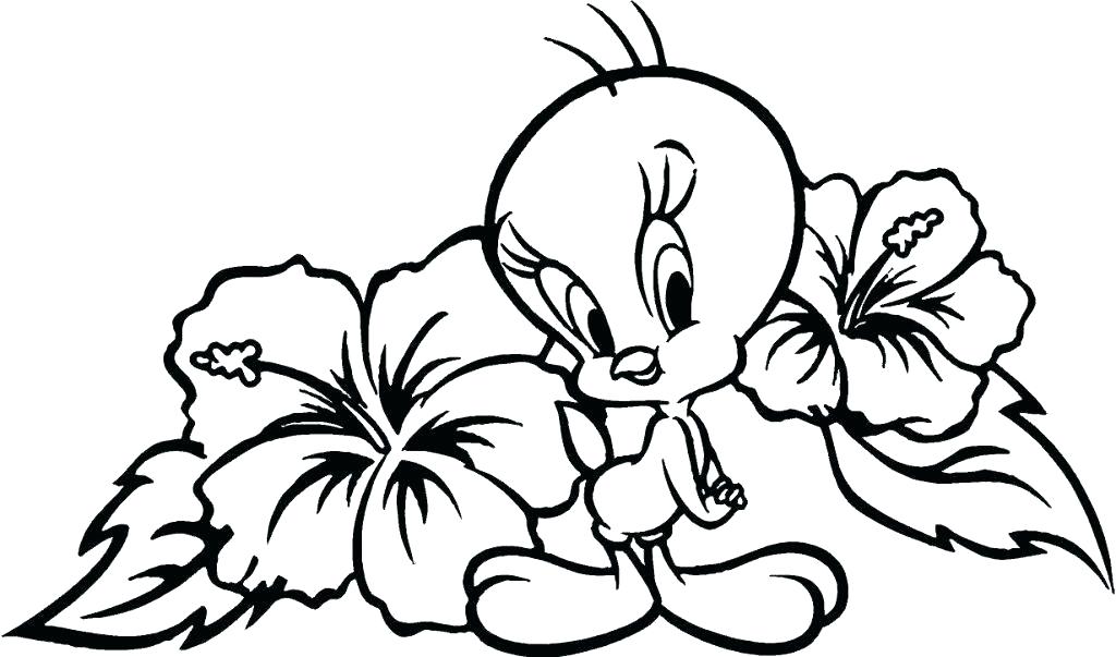 1024x603 Printable Flowers To Color Large Flower Coloring Pages Flower