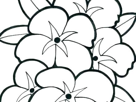 440x330 Realistic Flower Coloring Pages Printable Flower Coloring Pages