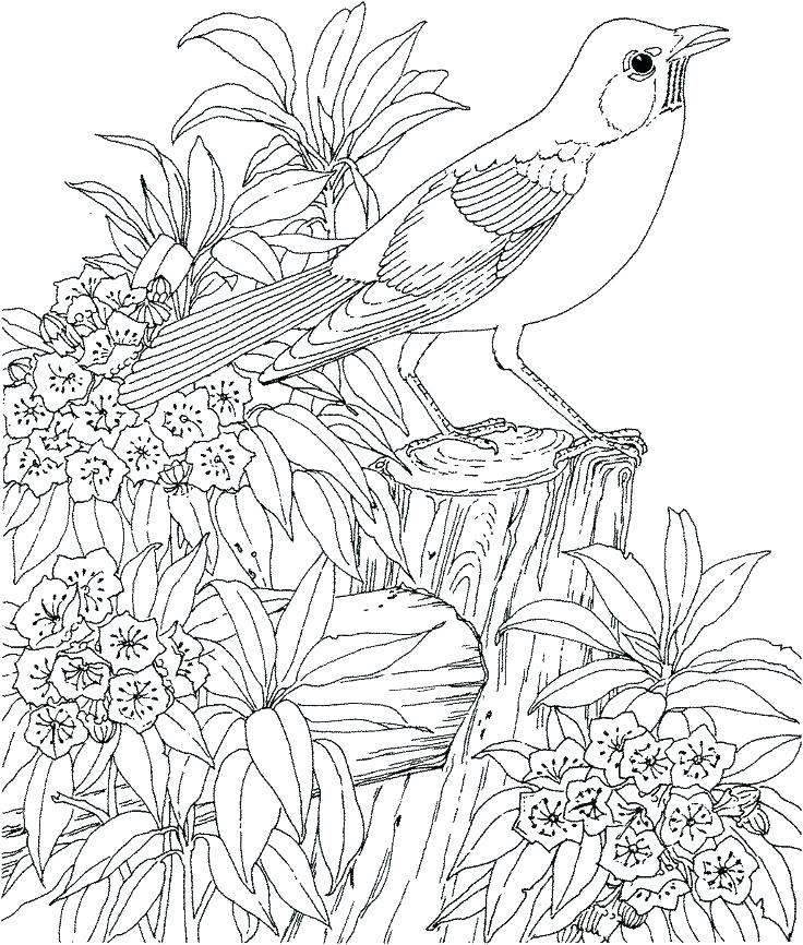 736x866 Hard Animal Coloring Pages