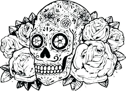500x362 Hard Animal Coloring Pages