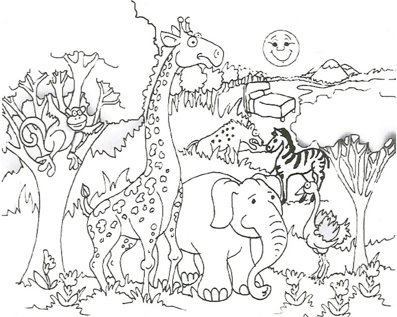 784x626 Baby Wild Animal Coloring Pages