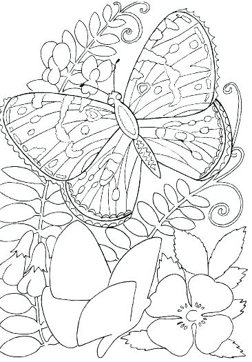 Coloring Pages Hard Designs at GetDrawings | Free download