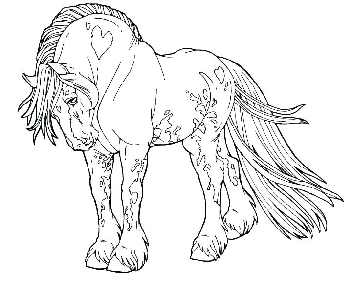 720x598 Coloring Pages Of Horses Barrel Racing Coloring Pages Horses