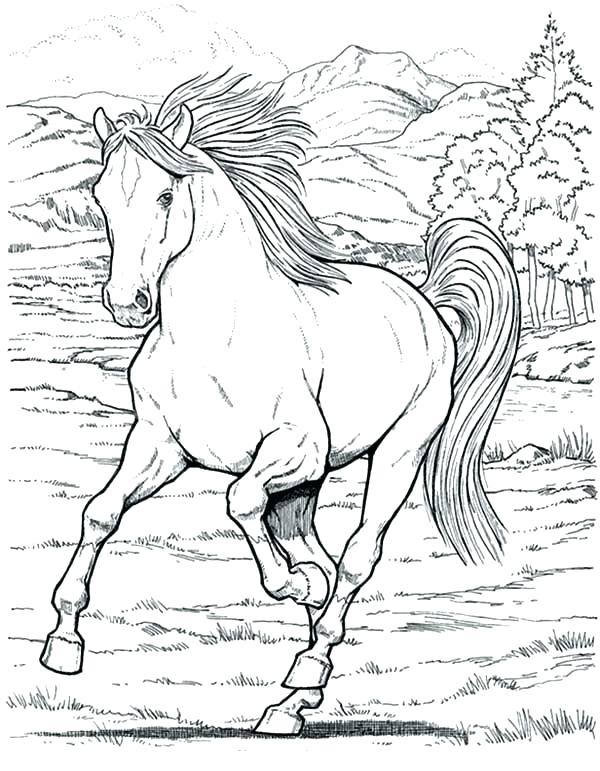 600x771 Realistic Horse Running Coloring Pages