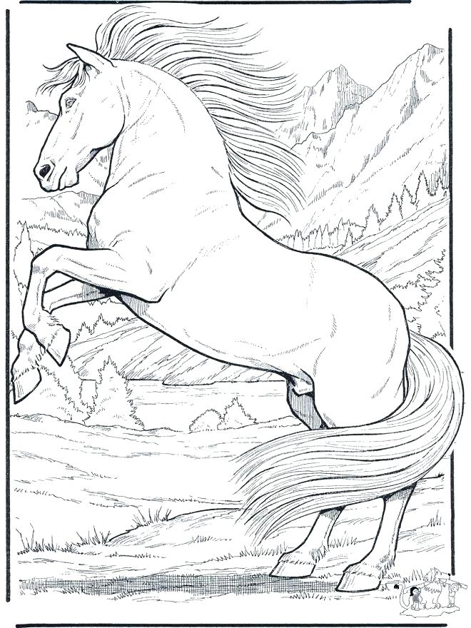660x880 Coloring Pages For Horses Printable Coloring Pages Of Horses Free