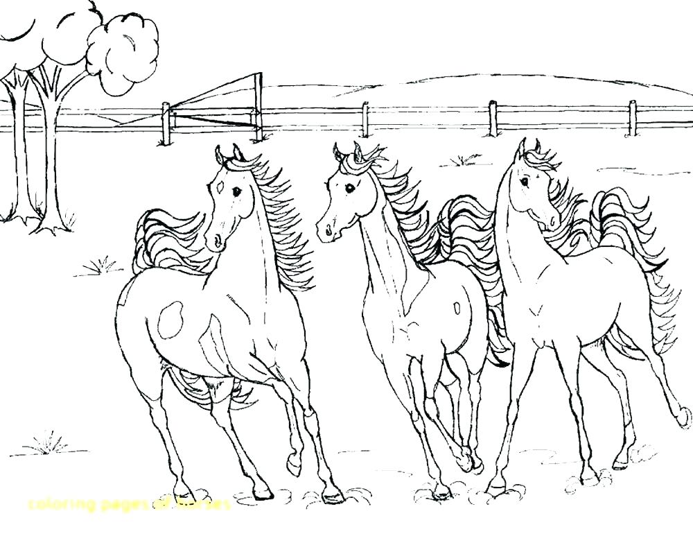 1000x783 Coloring Pages Horse Coloring Pages Horses Realistic Horse