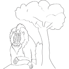 230x230 Top Free Printable Monkey Coloring Pages For Kids