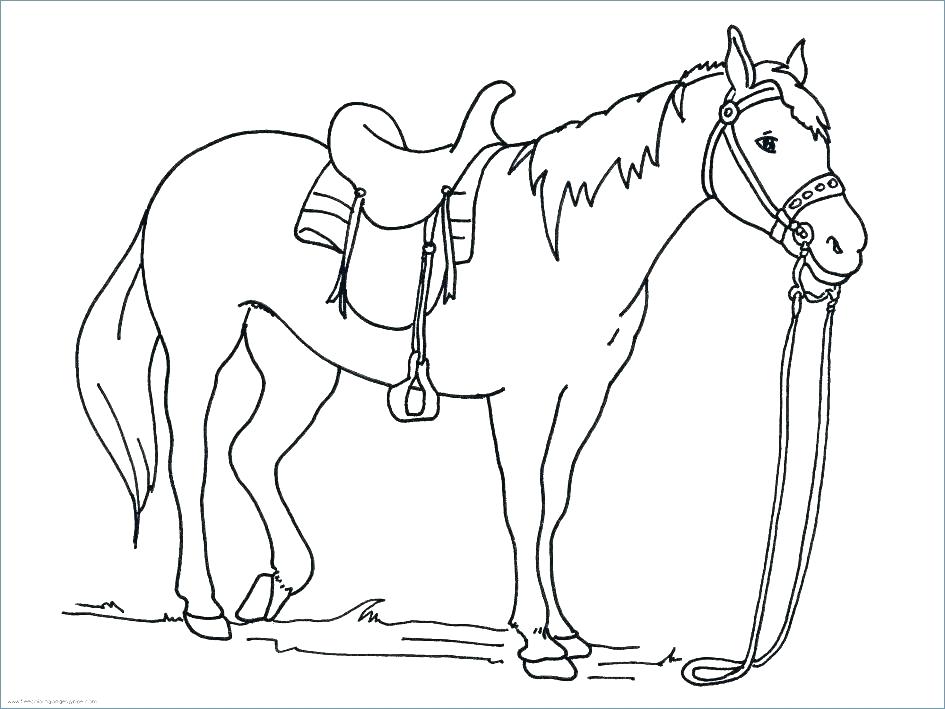 945x709 Colouring Pages Horses Jumping Princess With Horse Coloring Page
