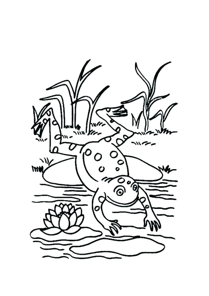 724x1024 Frogs Coloring Pages Pictures Of Frogs To Color Leap Frog Coloring