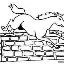 220x220 Jumping Horse Coloring Pages