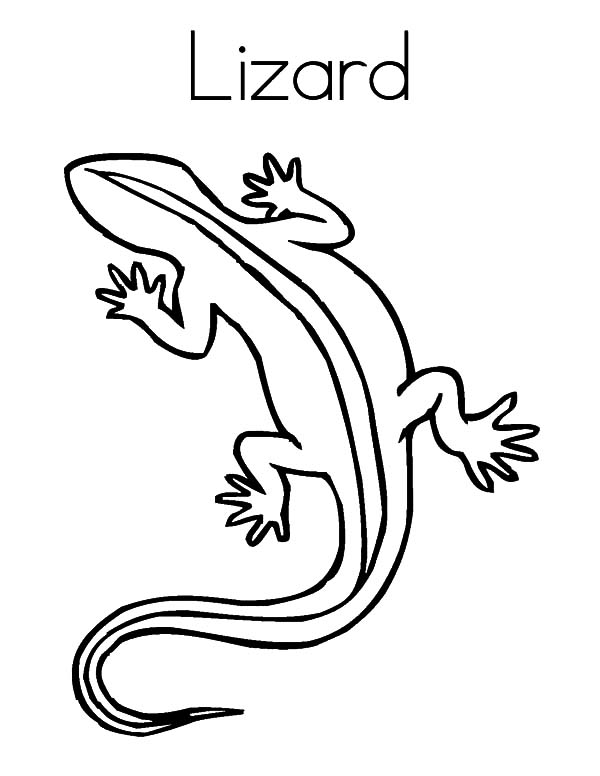 600x776 L Is For Lizard Coloring Pages