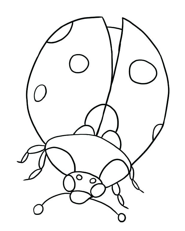 618x773 Lady Bug Coloring Sheet Ladybug Coloring Page Enchanting Pattern