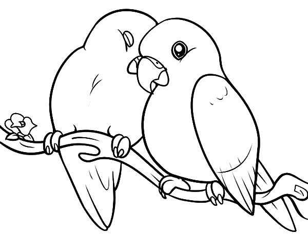 600x457 Love Birds Pampered Her Couple Coloring Pages Batch Pertaining