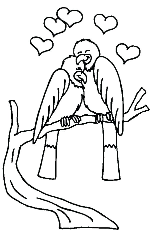 600x921 Love Birds Surrounded
